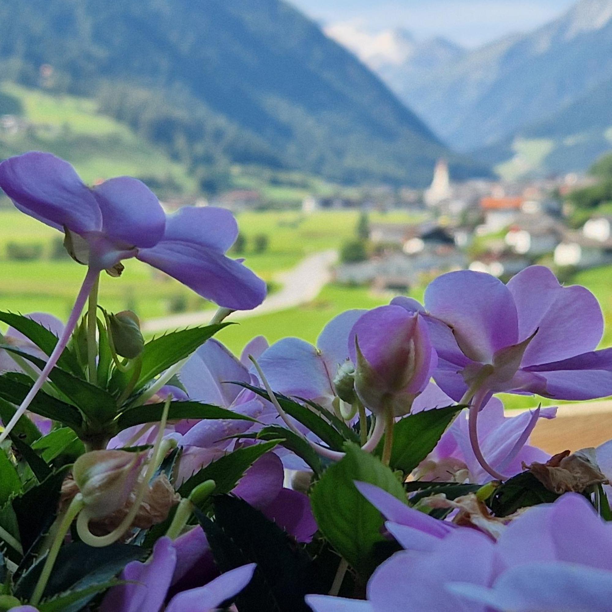 Apartmán Klein&Fein Neustift im Stubaital Exteriér fotografie