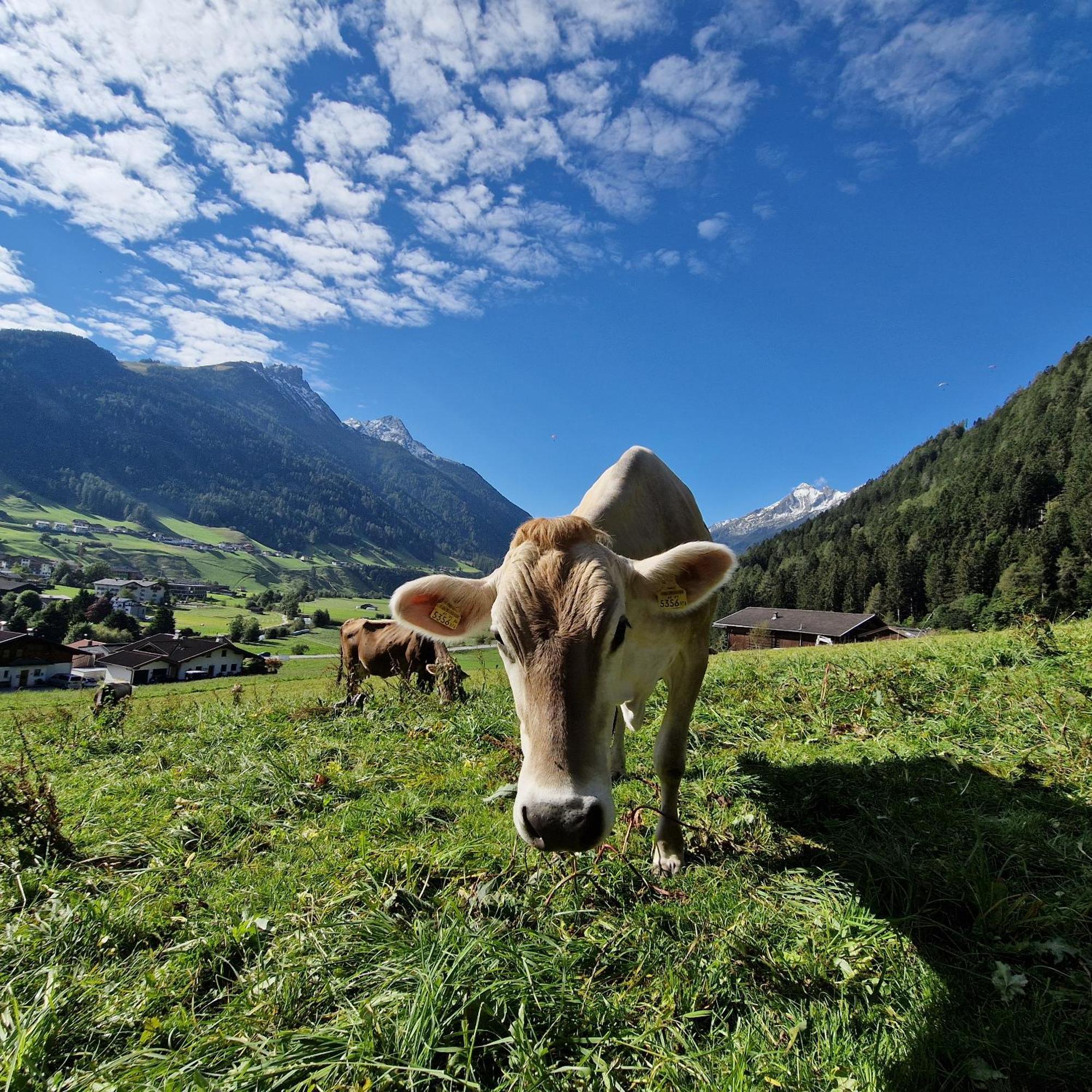 Apartmán Klein&Fein Neustift im Stubaital Exteriér fotografie